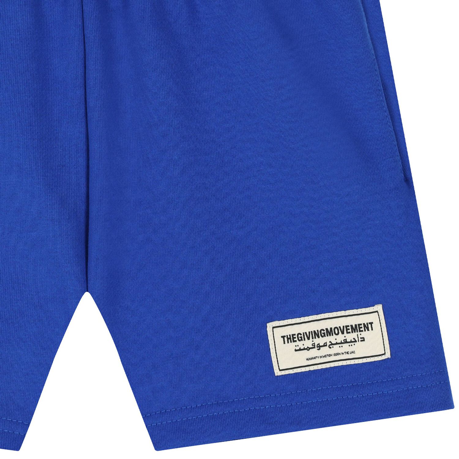 Blue Logo Shorts, 1, hi-res image number null