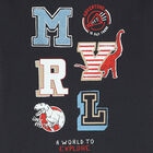 Boys Grey Logo T-Shirt, 1, hi-res