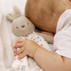 Ivory & Beige Squirrel Baby Doudou Comforter, 1, hi-res
