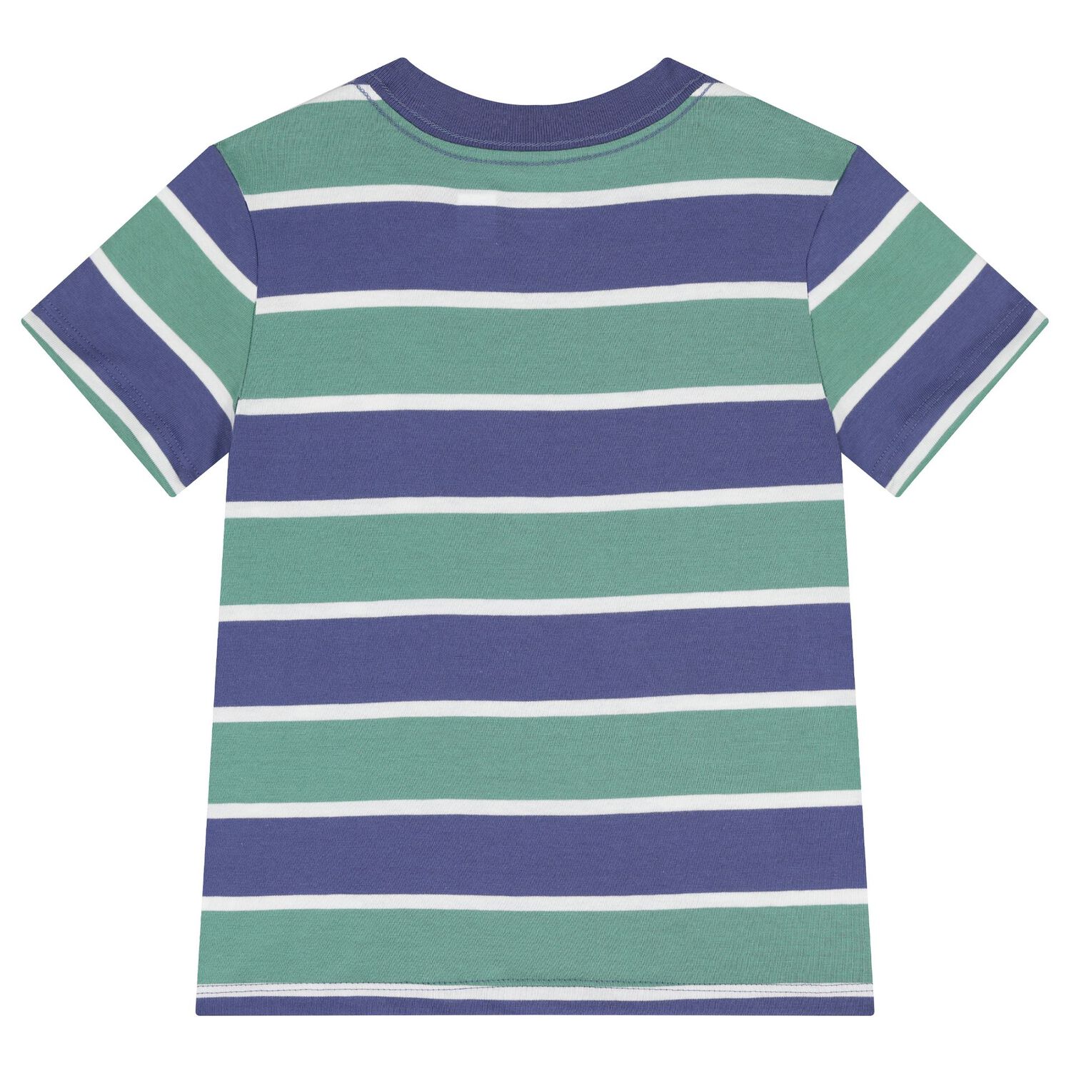 Baby Boys Blue & Green Polo Bear Shorts Set, 1, hi-res