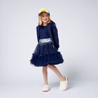Girls Navy Blue Embellished Tulle Dress, 1, hi-res