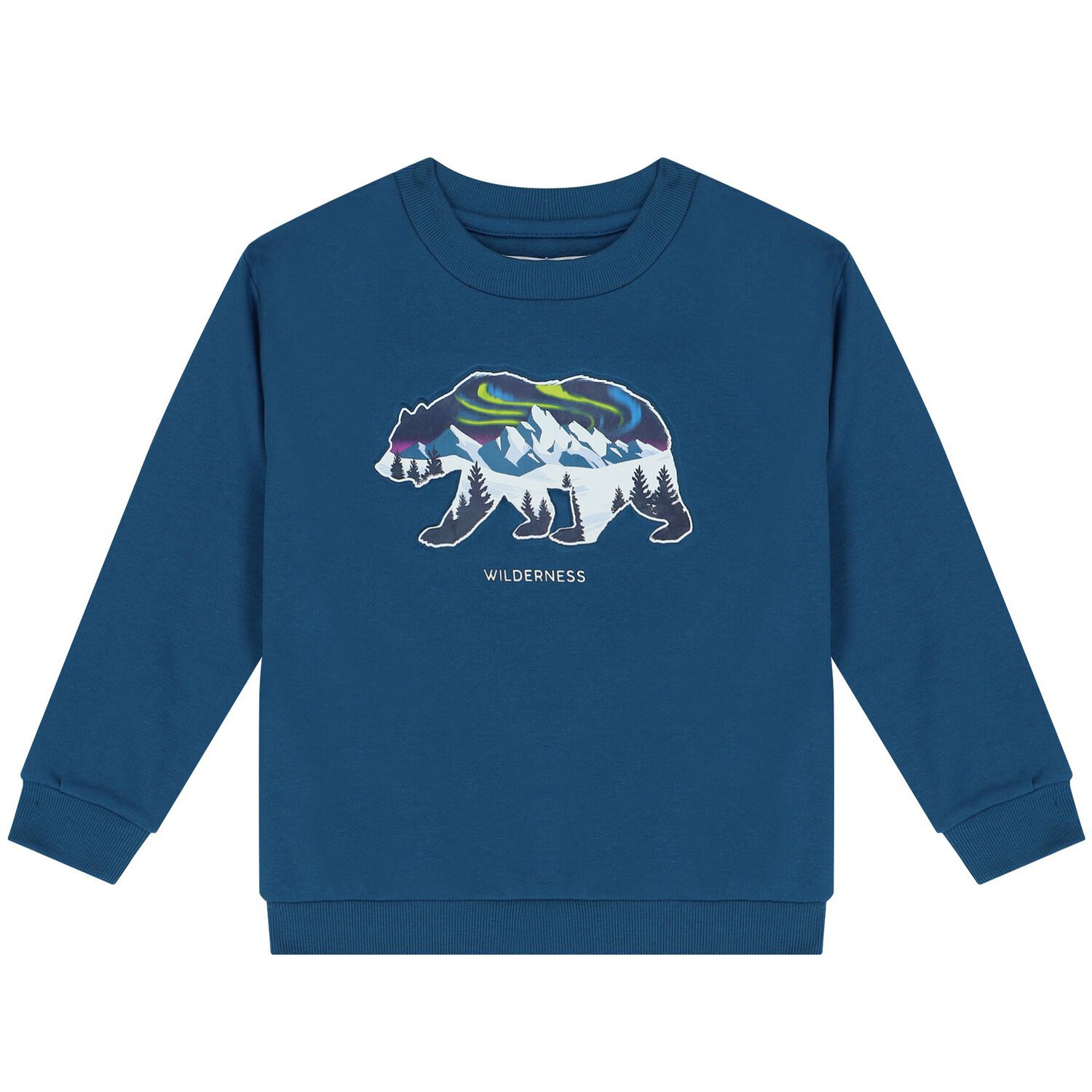 Boys Blue Polar Bear Sweatshirt, 1, hi-res