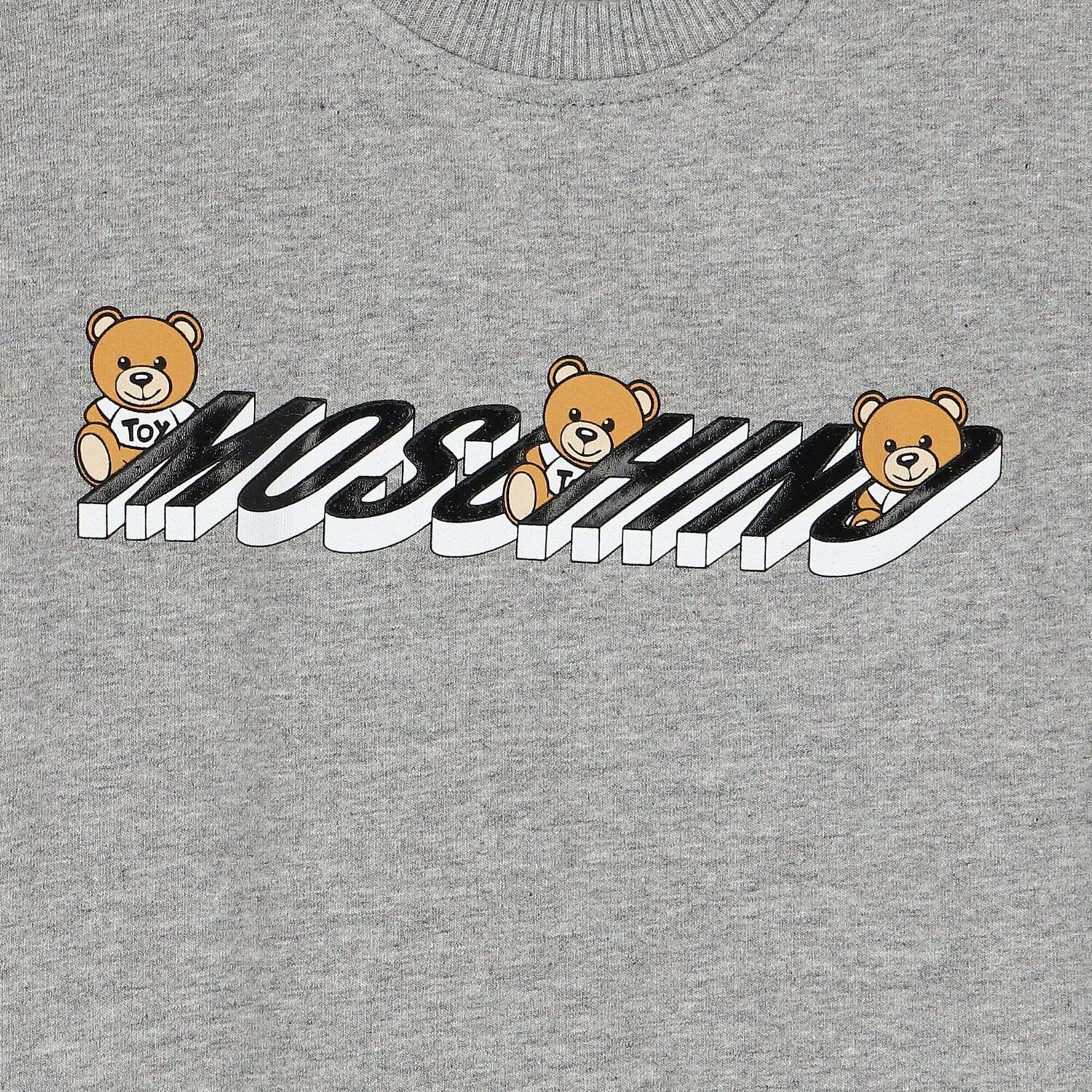 Grey Teddy Logo Sweatshirt, 1, hi-res