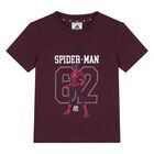 Younger Boys Burgundy & Black Spider-Man Marvel Shorts Set, 1, hi-res