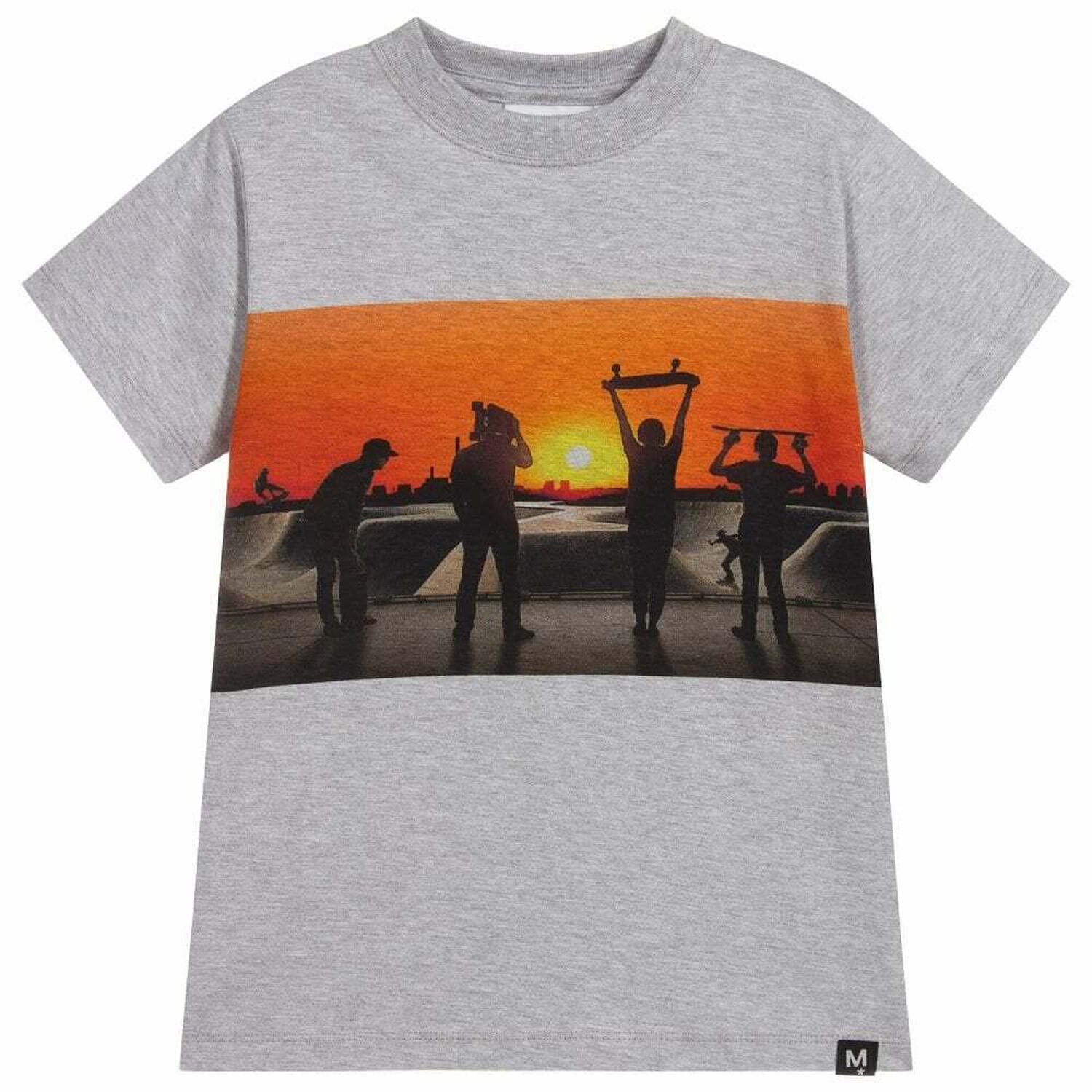 Boys Grey Silhouette Print T-Shirt, 1, hi-res