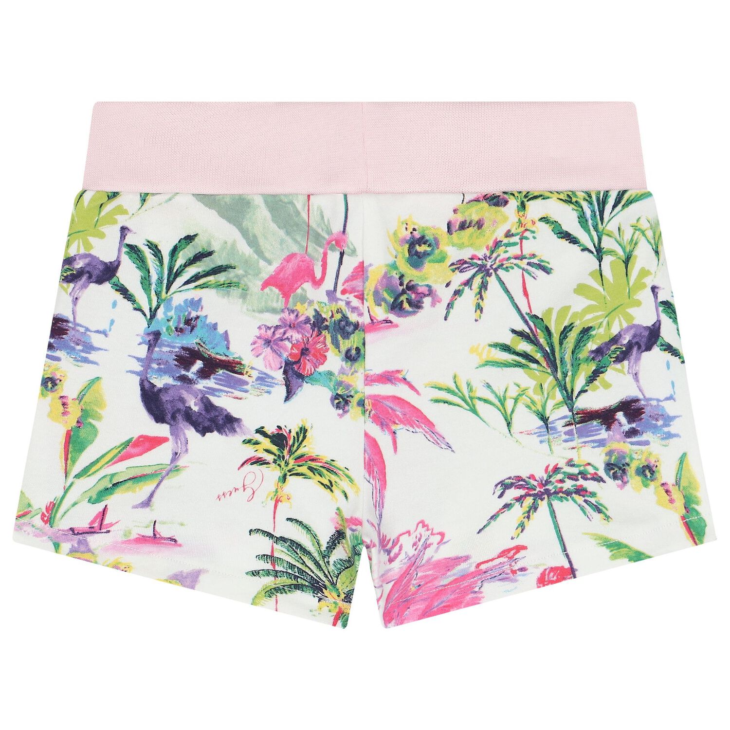 Baby Girls Botanical Print Shorts Set, 1, hi-res