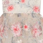 Girls Beige & Pink 3D Floral Tulle Dress, 1, hi-res