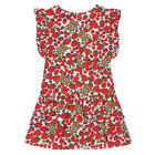 Girls Red Printed Dress, 1, hi-res