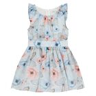 Baby Girls Blue Floral & Butterfly Dress Set, 1, hi-res