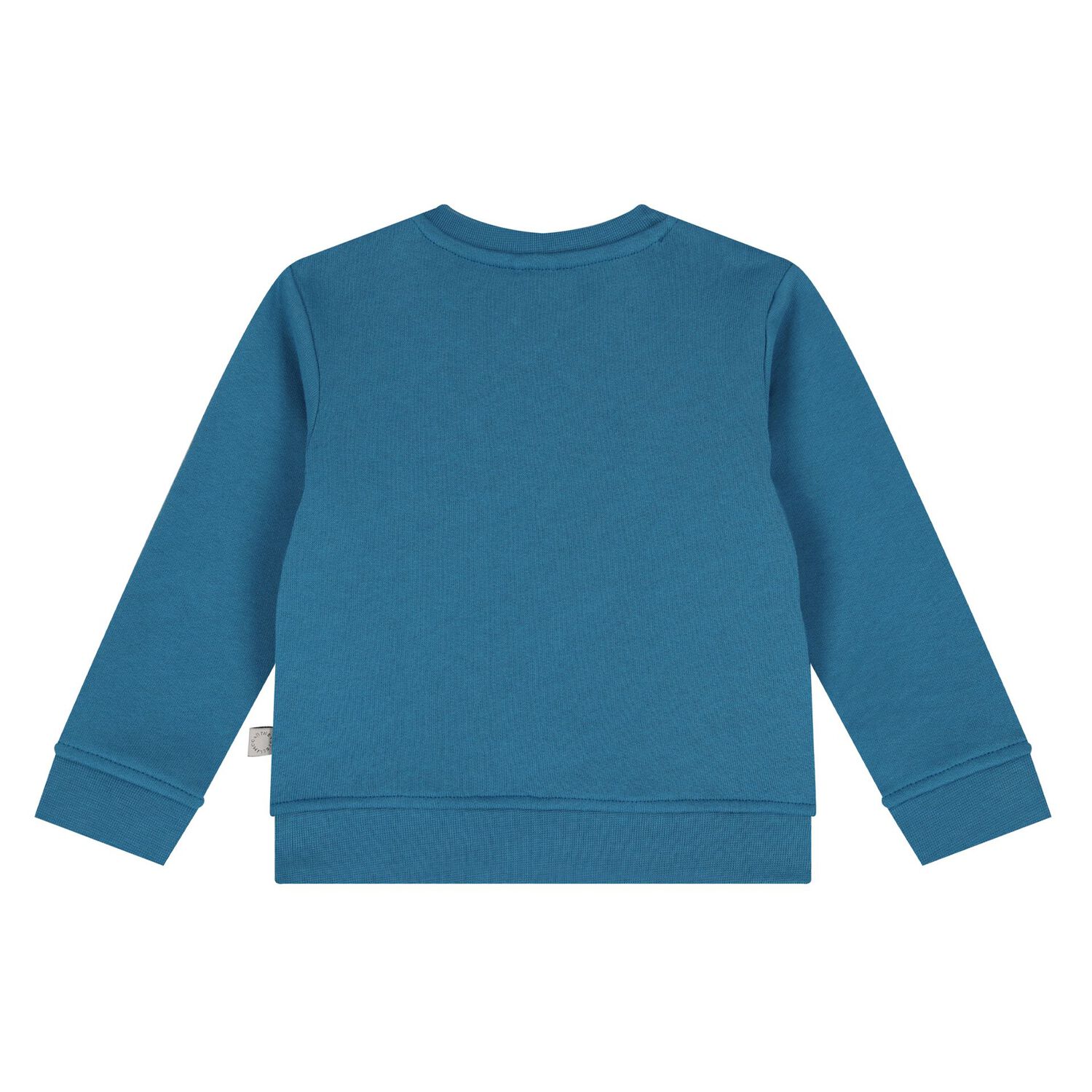 Younger Boys Blue Sun & Earth Sweatshirt, 1, hi-res