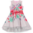 Girls Special Occasion Embellished Dress, 1, hi-res