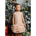 Girls Beige Embellished Tulle Dress, 2, hi-res