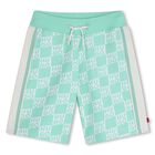 Boys Aqua & White Check Logo Shorts, 1, hi-res