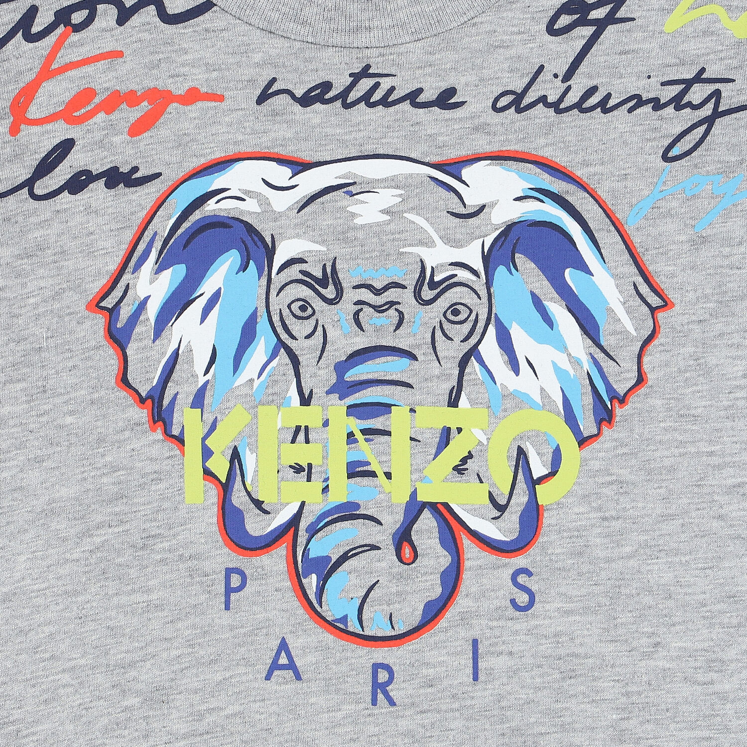 Younger Boys Grey Elephant Logo T-Shirt, 1, hi-res