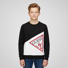 Boys Black Logo Sweatshirt, 2, hi-res
