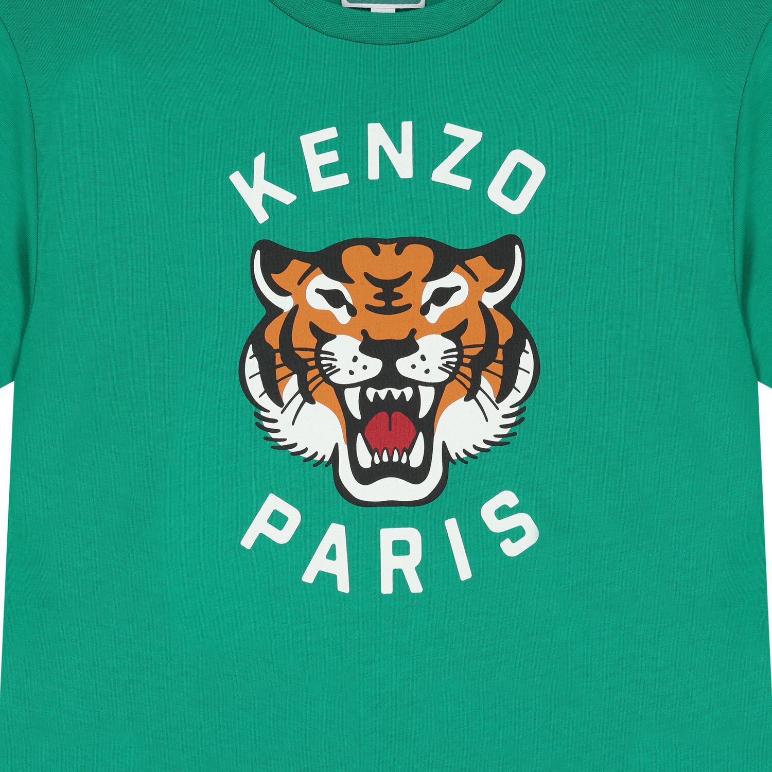 Boys Green Tiger T-Shirt, 1, hi-res