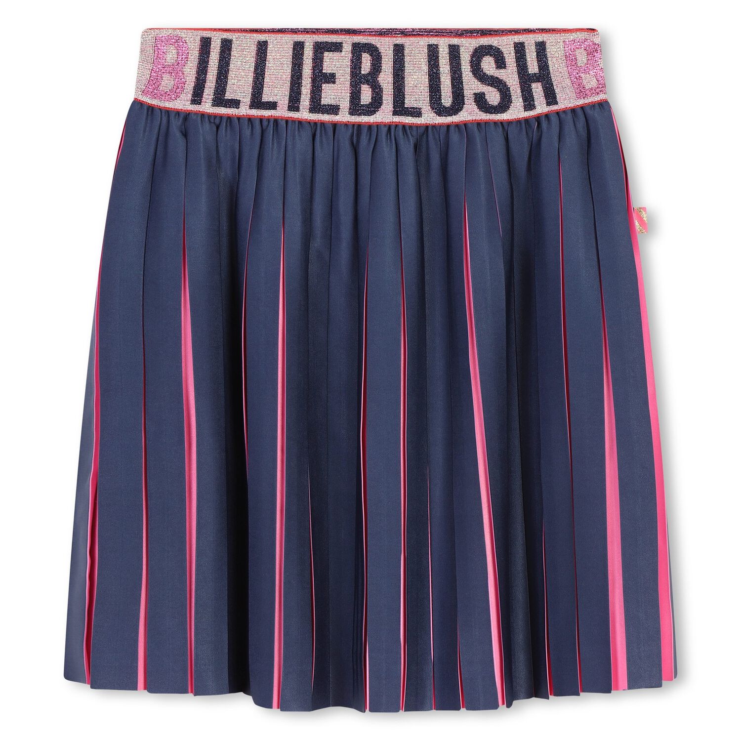Girls Navy Blue & Pink Logo Pleated Skirt, 1, hi-res image number null