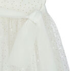 Girls Ivory & Gold Tulle Dress, 1, hi-res