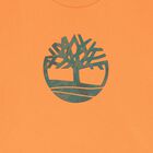 Boys Orange Logo T-Shirt, 1, hi-res