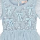 Baby Girls Blue Embellished Crystal Tulle Dress Set, 1, hi-res