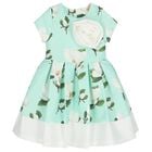 Girls Mint Green Floral Dress, 1, hi-res