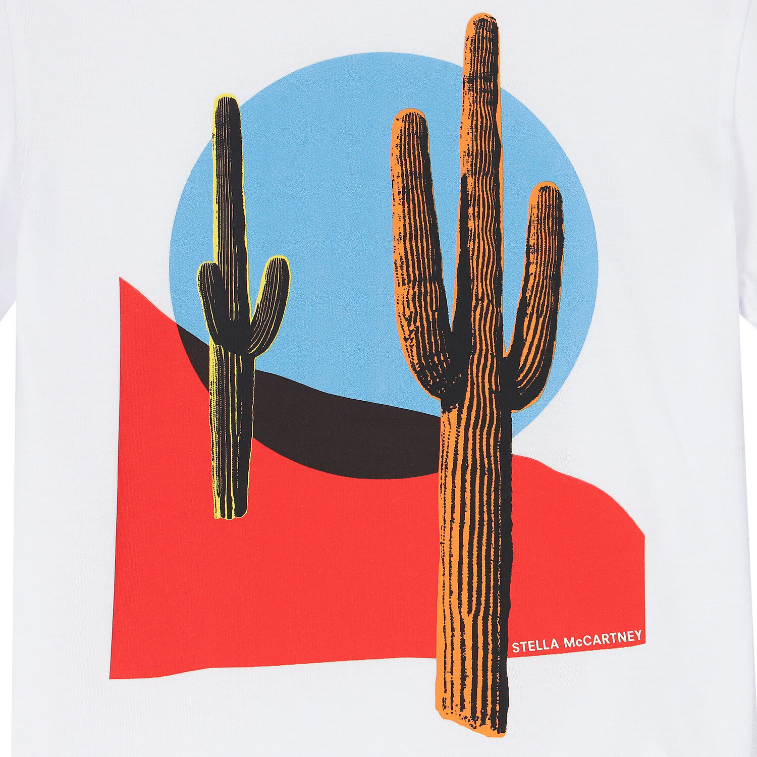 Boys White Cactus T-Shirt, 1, hi-res