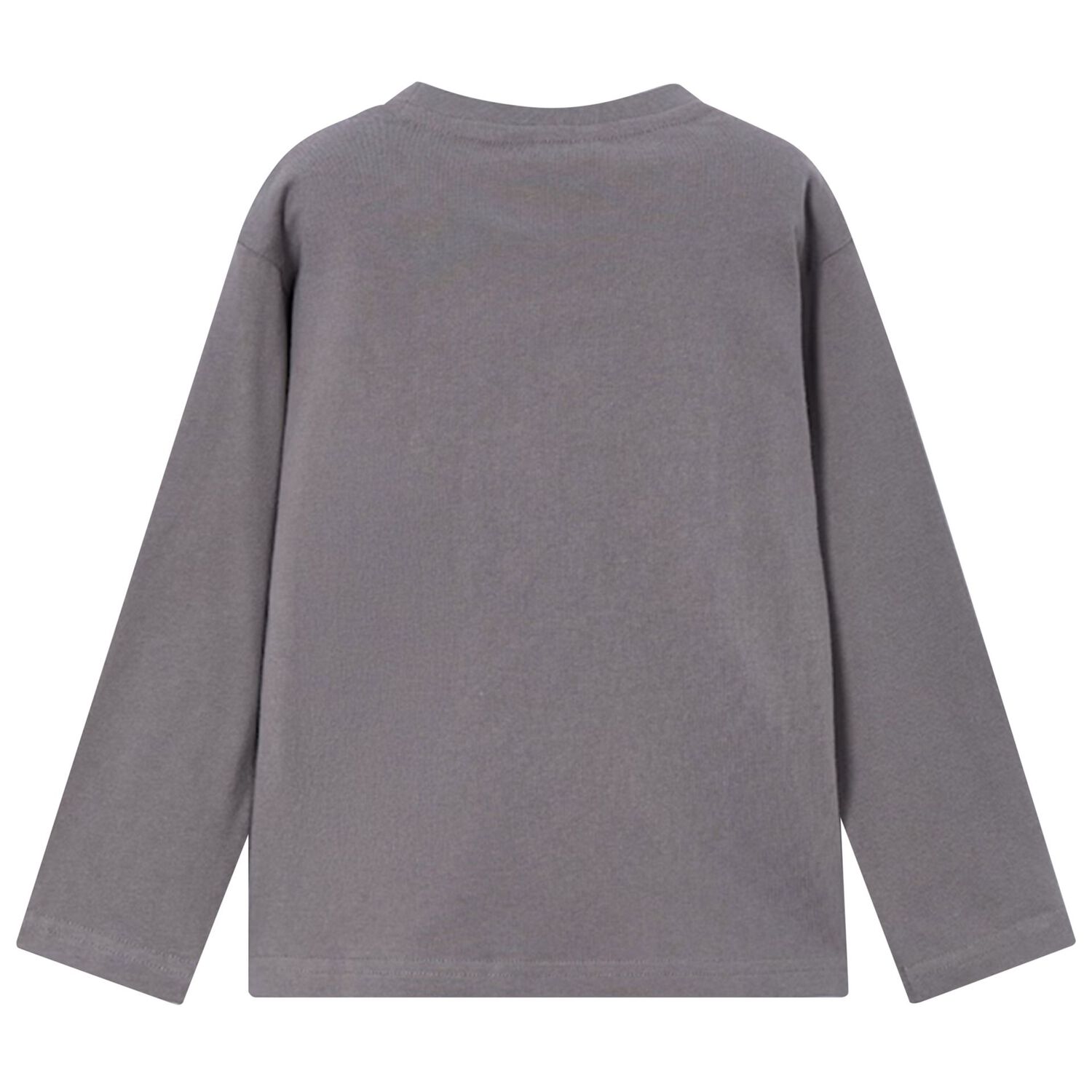 Boys Grey Dinosaur Long Sleeve Top, 2, hi-res image number null