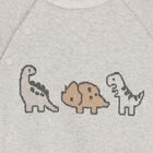 Baby Boys Grey Dinosaur 2 Piece Babygrow, 1, hi-res