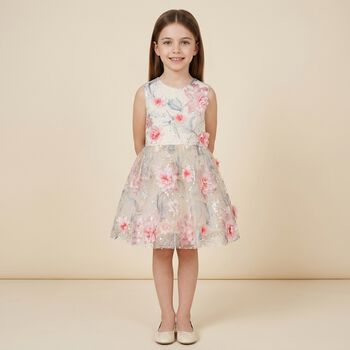 Girls Beige & Pink 3D Floral Tulle Dress