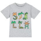 Younger Boys Grey Logo T-Shirt, 1, hi-res