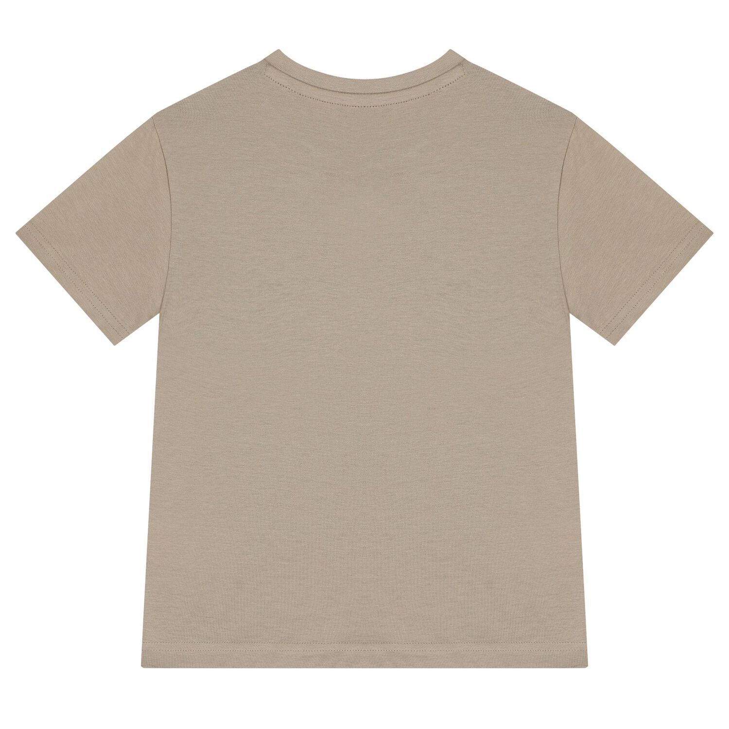 Boys Beige Lion Skater T-Shirt, 1, hi-res