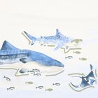 Boys White & Green Shark Shorts Set, 3, hi-res