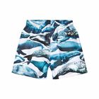 Boys Blue Swim Shorts, 1, hi-res