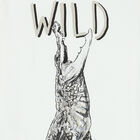 Boys Ivory & Red Crocodile Shorts Set, 3, hi-res