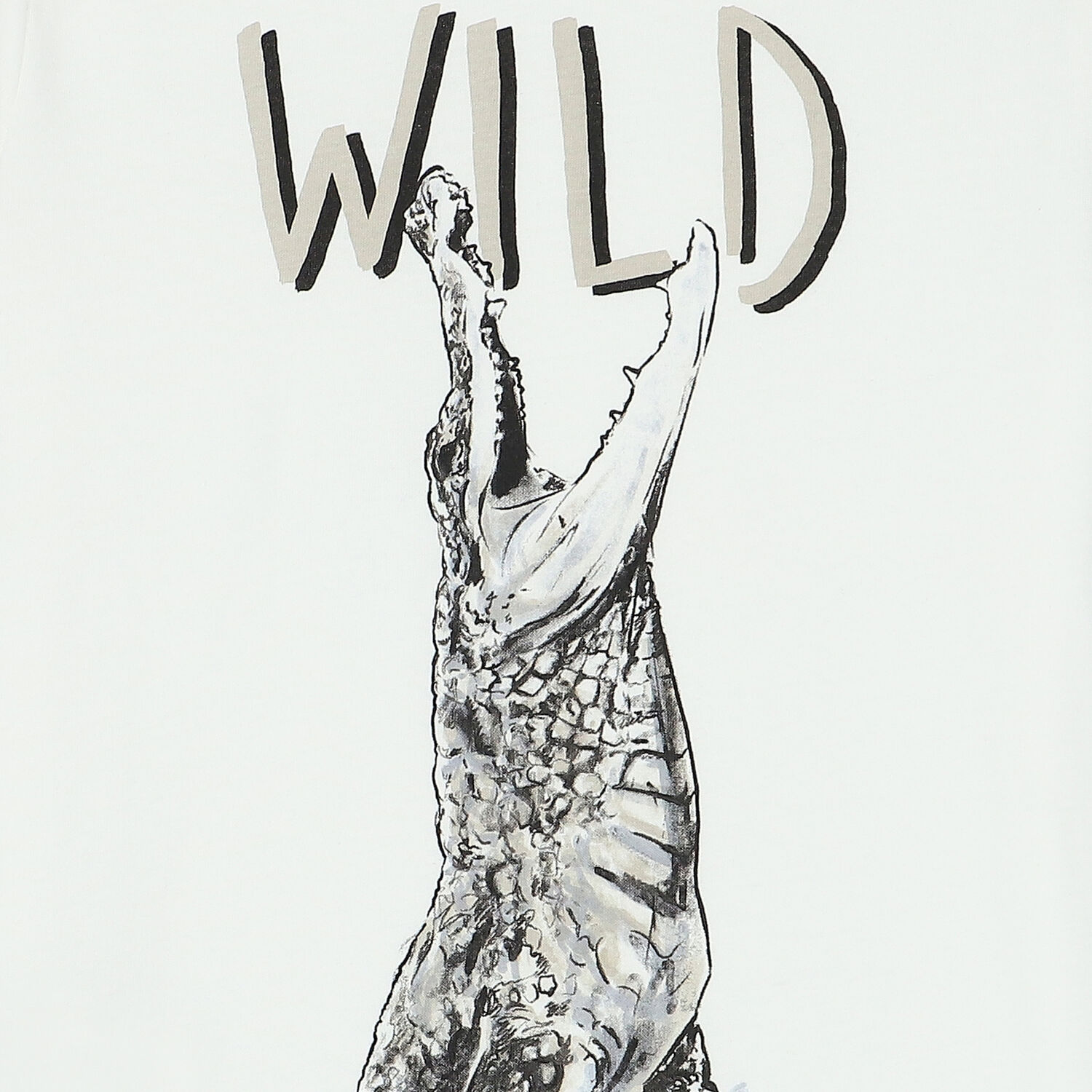 Boys Ivory & Red Crocodile Shorts Set, 3, hi-res