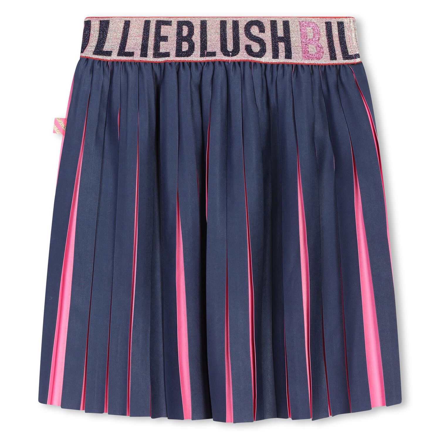 Girls Navy Blue & Pink Logo Pleated Skirt, 1, hi-res image number null