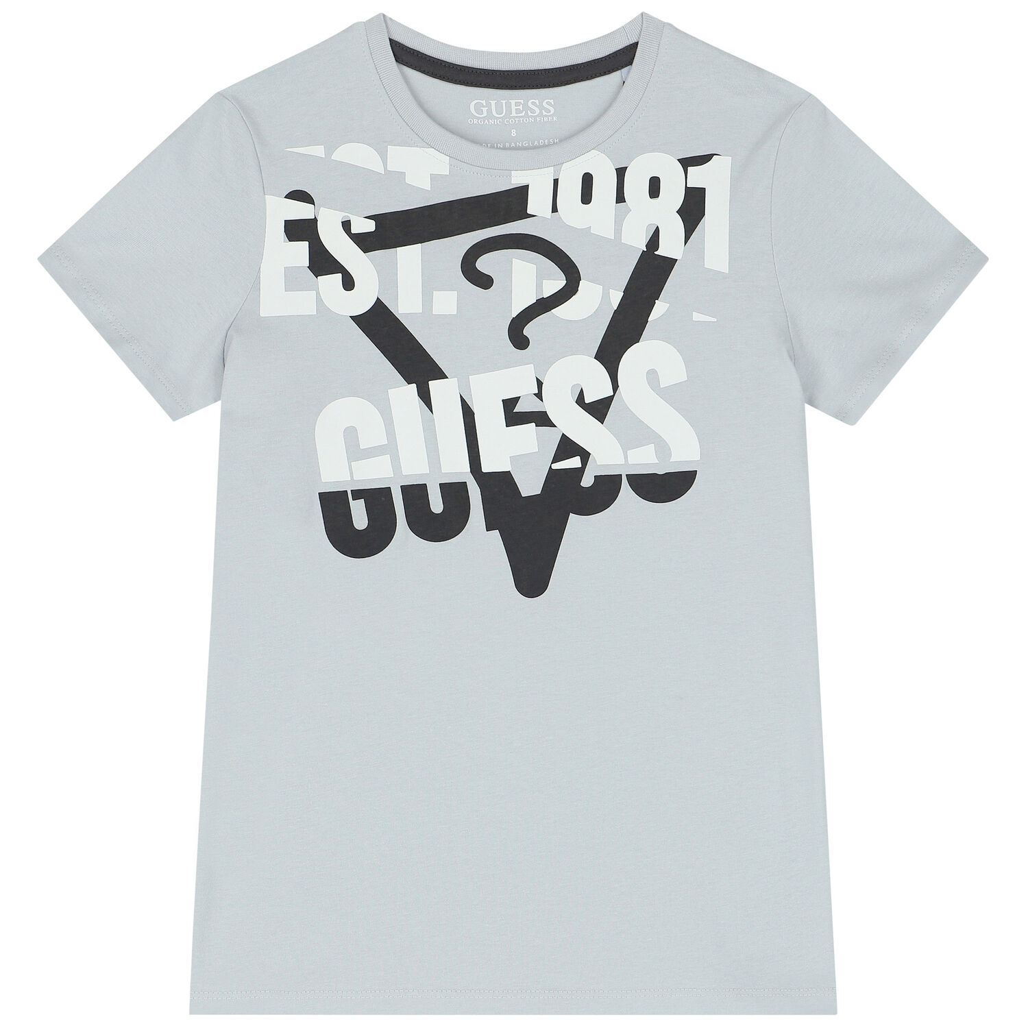Boys Grey Logo T-Shirt, 2, hi-res