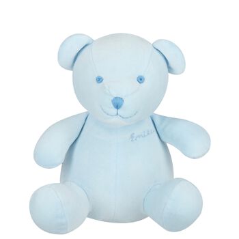 Boys Blue Teddy Bear Soft Toy