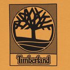 Boys Orange Logo T-Shirt, 1, hi-res