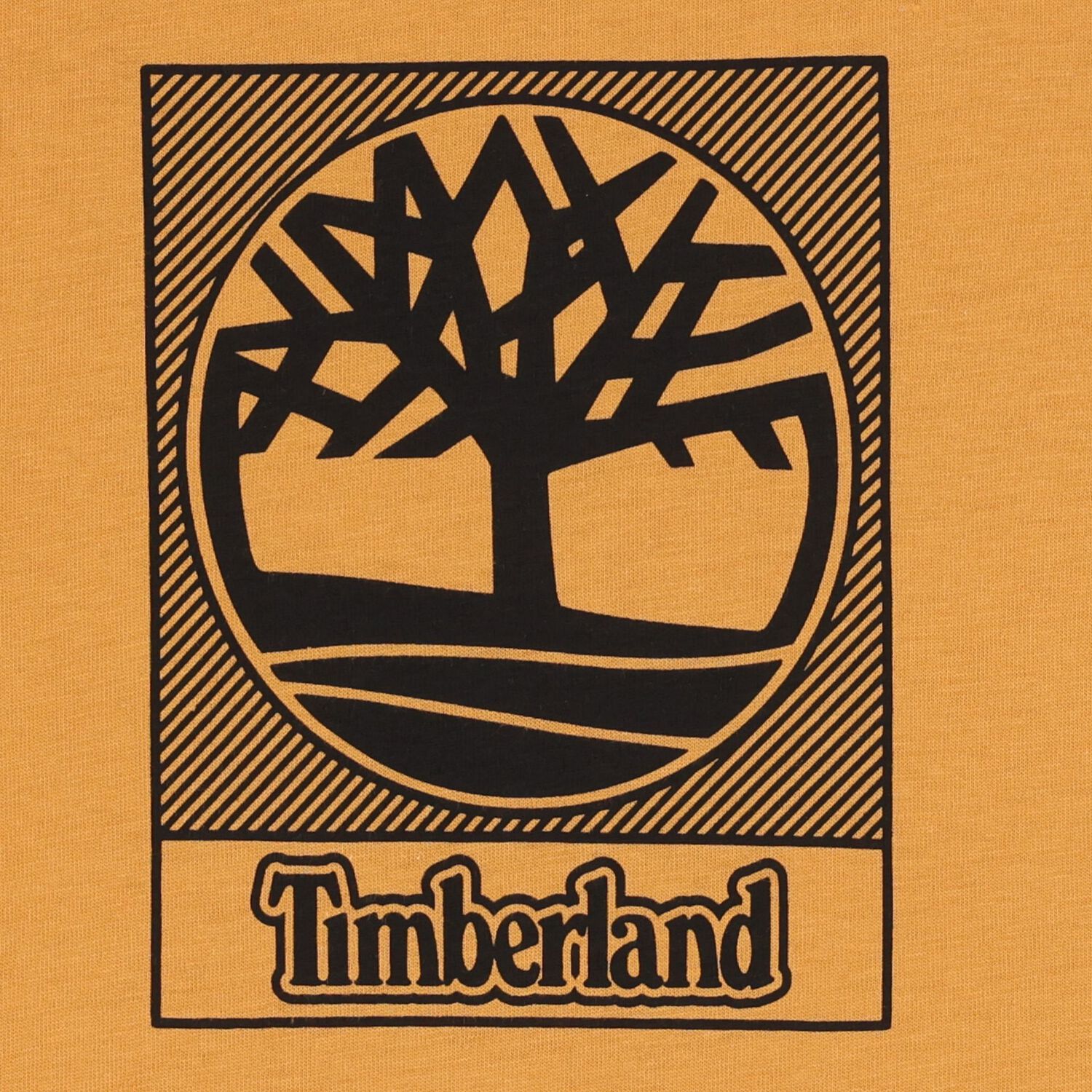 Boys Orange Logo T-Shirt, 1, hi-res