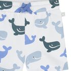 Younger Boys White Whale Shorts, 1, hi-res