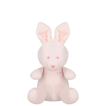 Baby Girls Pink Bunny Bear Soft Toy