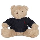 Boys Beige & Navy Blue Teddy Bear Soft Toy, 1, hi-res