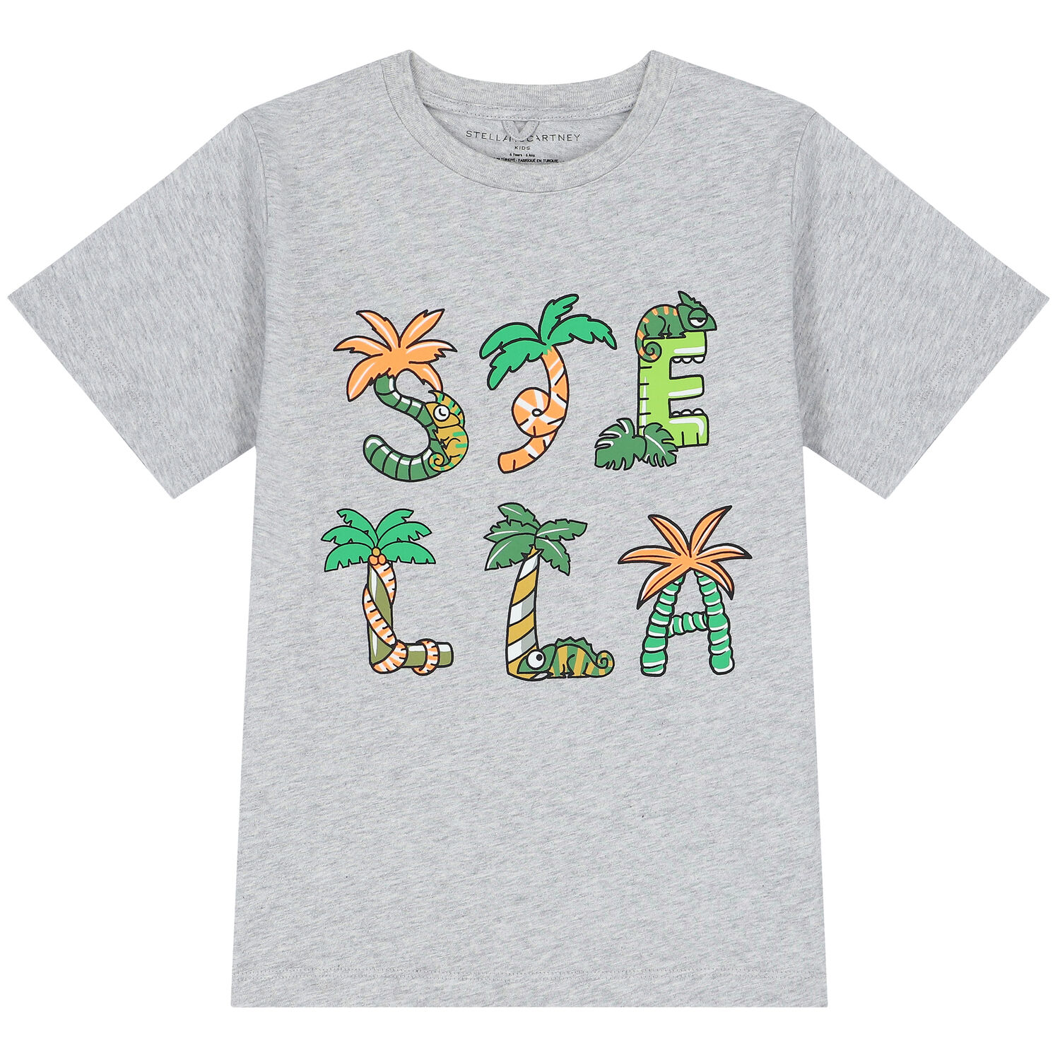 Boys Grey Logo T-Shirt, 1, hi-res image number null