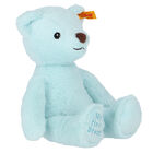 Blue Teddy Bear Soft Toy (26cm), 1, hi-res
