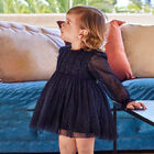 Younger Girls Navy Blue & Gold Glitter Tulle Dress, 1, hi-res