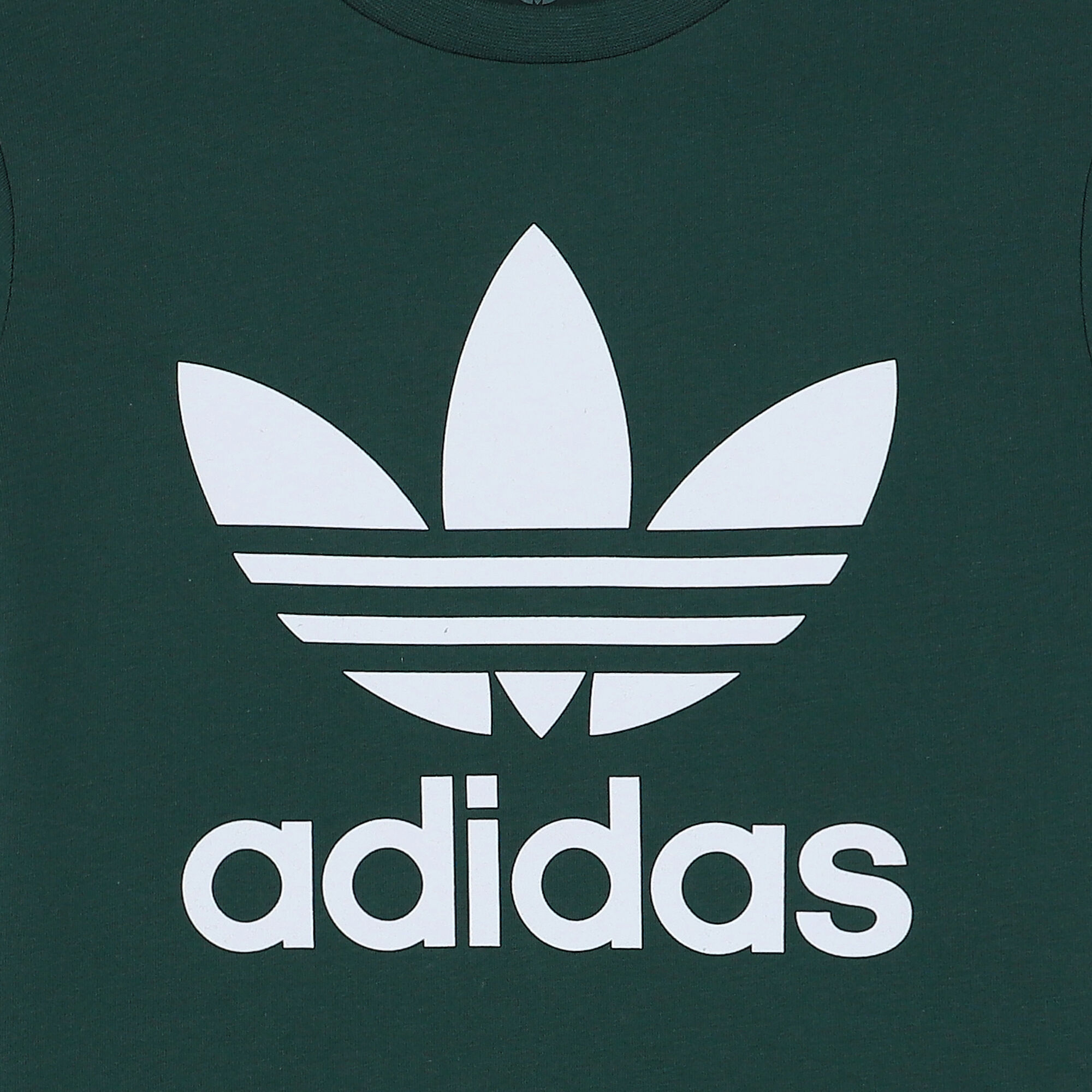 adidas Originals Green Trefoil Logo T Shirt Junior Couture UK