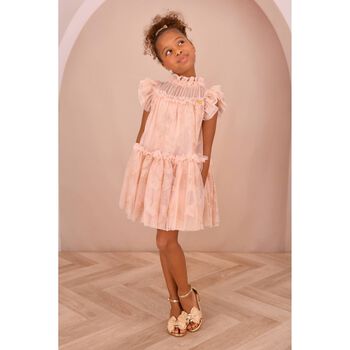 Girls Pink Embroidered Tulle Dress
