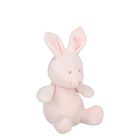 Baby Girls Pink Bunny Bear Soft Toy, 1, hi-res