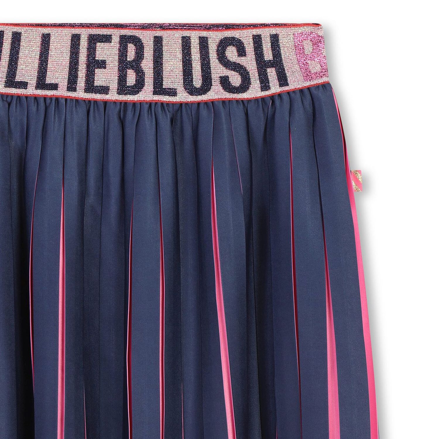 Girls Navy Blue & Pink Logo Pleated Skirt, 1, hi-res image number null